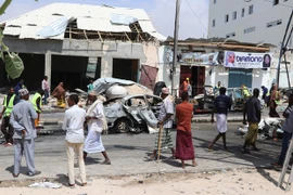 Vietnam participa reunión de ONU sobre situación en Somalia