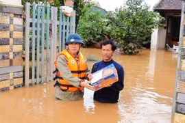 Solidariza consejera de Estado myanmena con Vietnam por secuelas de desastres naturales 