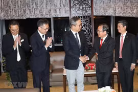 Japón dispuesto a respaldar grandes proyectos de transporte en provincia vietnamita 