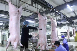 Aumenta Vietnam importación de carne de cerdo en primer trimestre de 2020