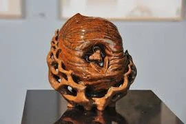 Esculturas de silueta de joven vietnamita promueven estilo de vida verde 
