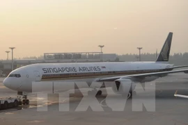 Singapore Airlines abandona el plan de “vuelos a ninguna parte”