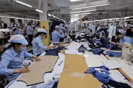 Prestan empresas alemanas atención al mercado vietnamita