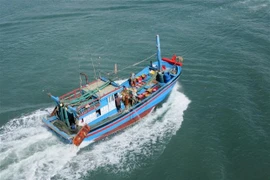 Provincia vietnamita evita que buques violen normas de pesca 