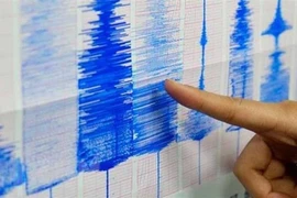 Terremoto de magnitud 5,4 sacude provincia de Indonesia