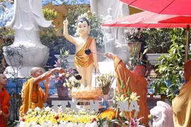 Celebran el Vesak 2564 en temporada pandémica en Laos