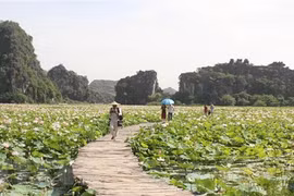 Turismo doméstico de Vietnam aspira a recuperarse después del COVID-19