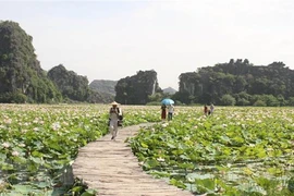 Turismo doméstico de Vietnam aspira a recuperarse después del COVID-19
