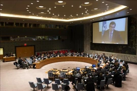 Vietnam e Indonesia insisten apoyo internacional para la región de los Grandes Lagos en África
