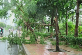 Tifón Etau deja dos muertos en la región central de Vietnam