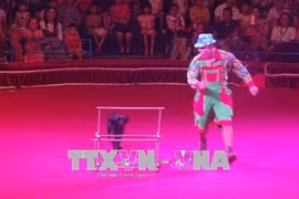 Celebrarán en Ciudad Ho Chi Minh Gala Internacional de Circo 2020