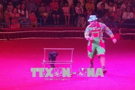 Celebrarán en Ciudad Ho Chi Minh Gala Internacional de Circo 2020