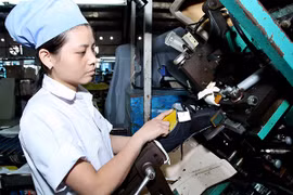 Vinh Phuc, uno de los destinos favoritos de los inversionistas extranjeros en Vietnam