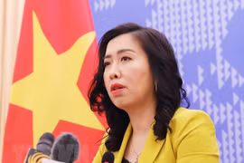 Visita de buques estadounidenses a Vietnam impulsa nexos bilaterales, afirma la portavoz de Cancillería