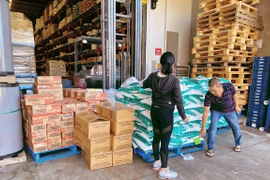Vietnamitas en Australia se unen contra epidemia de COVID-19