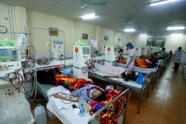 Vietnam y Estados Unidos intercambian experiencias sobre tratamiento de enfermedad renal crónica