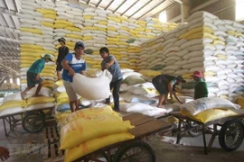 Empresas vietnamitas planean producir mercancías a servicio del Año Nuevo