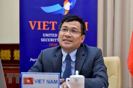 Vicecanciller vietnamita pide asistencia internacional a países en desarrollo en lucha contra el terrorismo