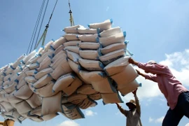 Camboya exporta casi un millón de toneladas de arroz a Vietnam
