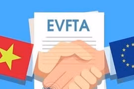 Vietnam establece aranceles preferenciales de exportación al implementar el EVFTA