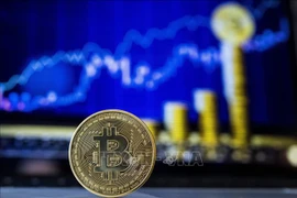 Banco Estatal de Vietnam busca prohibir circulación de moneda digital