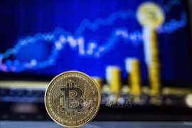 Banco Estatal de Vietnam busca prohibir circulación de moneda digital