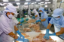 Prevén reducción de 20 por ciento de exportaciones acuáticas de Vietnam a UE en 2020
