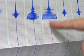 Terremoto de magnitud 5,3 sacude localidad filipina