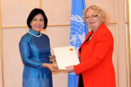 Prioriza Vietnam participación en actividades de la ONU