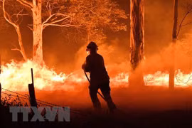 Vietnam envía condolencias a Australia por incendios forestales
