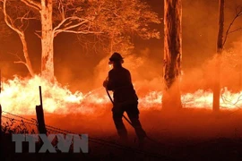 Vietnam envía condolencias a Australia por incendios forestales