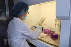 COVID-19: Fallecen dos ancianos por coronavirus en Vietnam