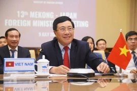 Países de Mekong y Japón refuerzan cooperación contra COVID- 19