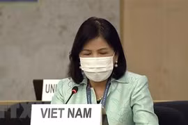 Vietnam reafirma compromiso de promover los derechos humanos en medio del COVID-19