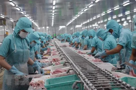 Exportaciones agrícolas de Vietnam alcanzarán más de 40 mil millones de dólares en 2020, según viceministro
