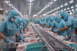Exportaciones agrícolas de Vietnam alcanzarán más de 40 mil millones de dólares en 2020, según viceministro