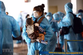 Mejoran la eficiencia en la protección de los ciudadanos vietnamitas en el extranjero