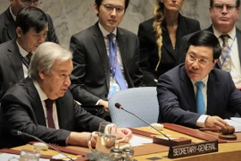 Vietnam por agilizar lazos con miembros del Consejo de Seguridad de la ONU
