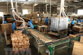 Reduce producción industrial de Vietnam en enero de 2020