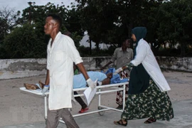 Vietnam llama a incrementar asistencia internacional a Somalia