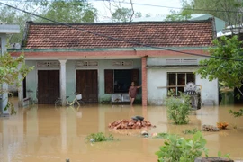 Asisten a localidades vietnamitas afectadas por inundaciones en saneamiento ambiental