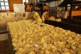 Procesamiento de caucho en una fábrica de la empresa Phu Rieng. (Foto: VNA)