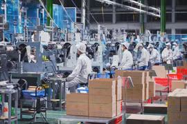 Todo el país cuenta con 431 parques industriales y zonas francas industriales establecidas con una superficie total de unas 132,3 mil hectáreas, creando un fondo de suelo industrial de unas 89,9 mil hectáreas. (Foto: Vietnam+)