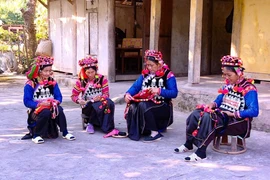 Belleza cultural de trajes tradicionales de mujeres de la etnia Ha Nhi en Dien Bien