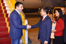 Pham Phu Binh, miembro permanente de la Comisión de Asuntos Exteriores de la Asamblea Nacional de Vietnam, recibe al presidente de la Asamblea Nacional de Armenia, Alen Simonyan (izq.), en el aeropuerto de Noi Bai (Foto: VNA)