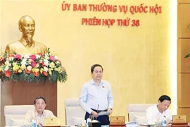 El presidente de la Asamblea Nacional, Tran Thanh Man, interviene en la sesión. (Foto: VNA)