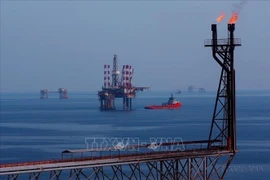Resaltan lazos Vietnam- Rusia en ciencia y tecnología