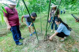 Promueven localidades vietnamitas producción agrícola asociada con ecoturismo