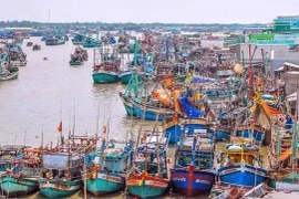Localidad de Vietnam empeñada en mejorar conciencia en lucha contra pesca ilegal