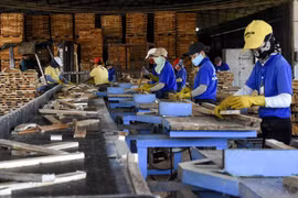 Adhesión del Reino Unido al CPTPP favorecerá actividades comerciales de Vietnam